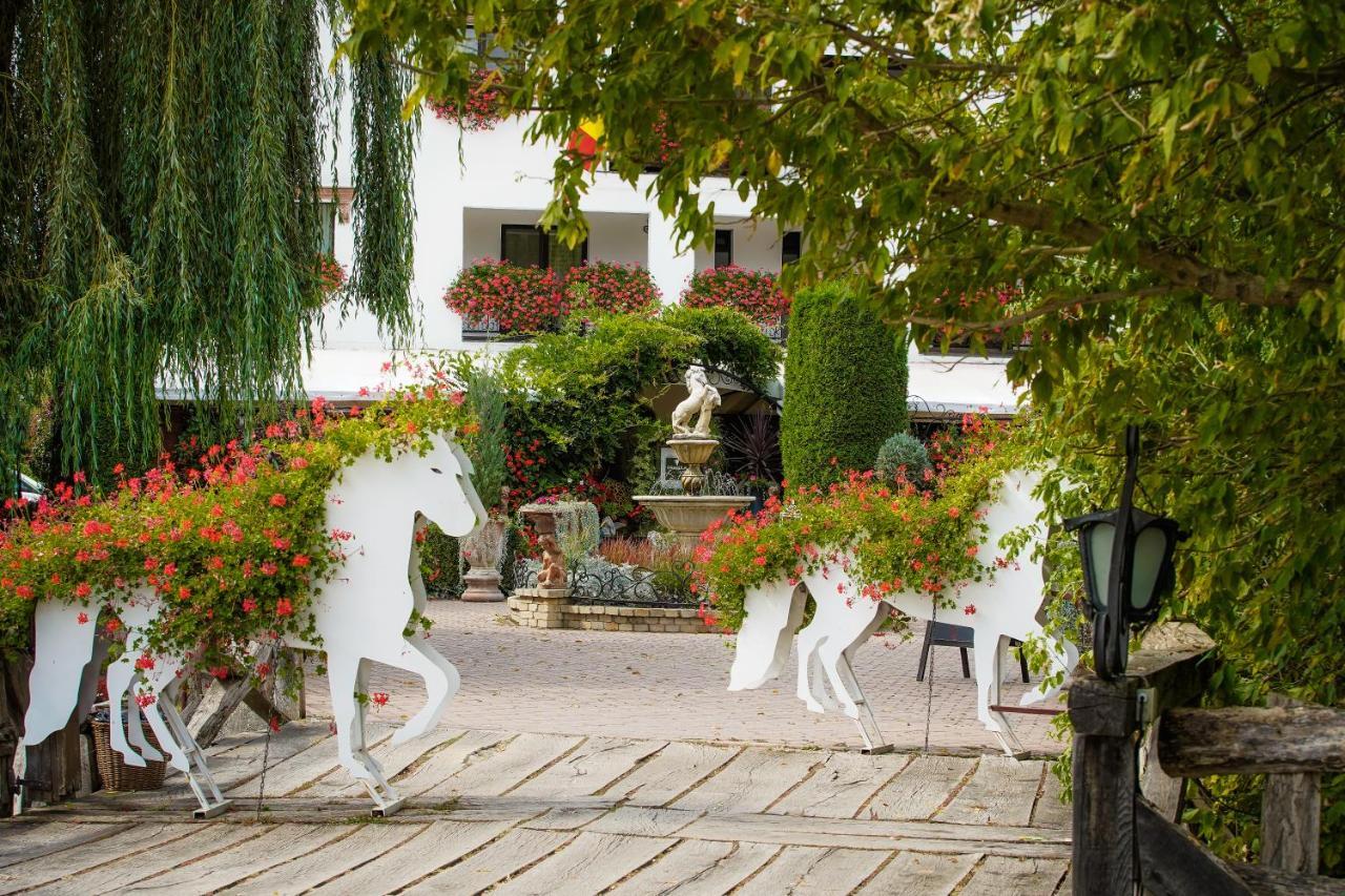 Domeniul Dracula Danes Hotel Exterior foto